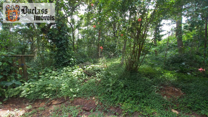 Terreno, 3701 m² - Foto 9