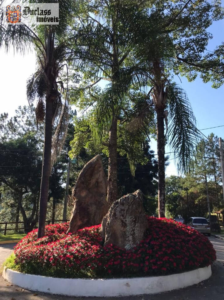 Terreno, 300 m² - Foto 11