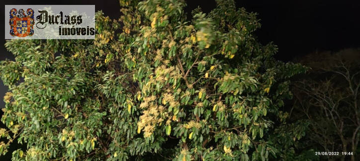 Casa de Condomínio, 4 quartos - Foto 75