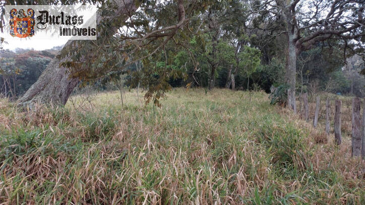 Terreno, 9200 m² - Foto 5