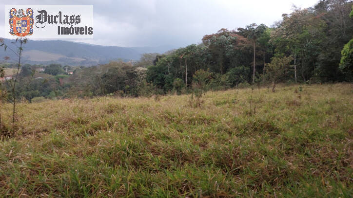 Terreno, 9200 m² - Foto 7