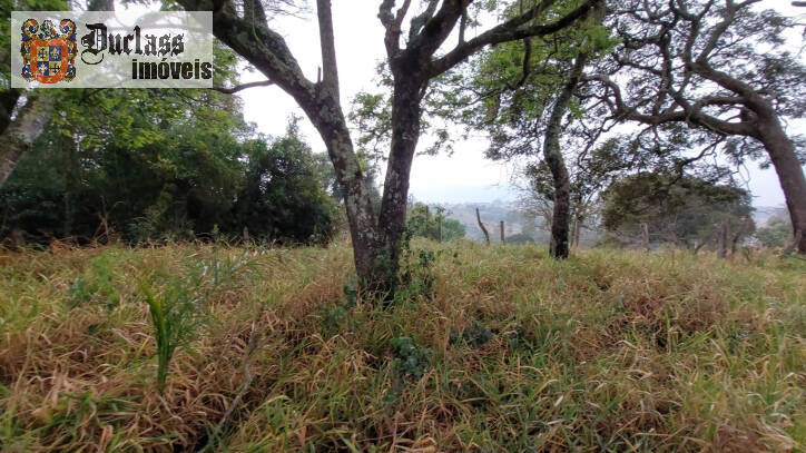 Terreno, 9200 m² - Foto 11