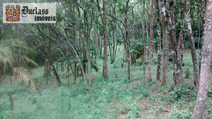 Terreno, 9200 m² - Foto 13