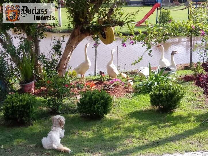 Sítio à venda com 4 quartos, 700m² - Foto 91